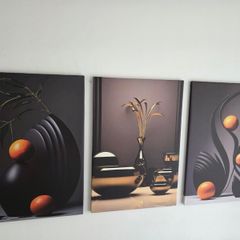 3 framed  large canvas 45x65cm each