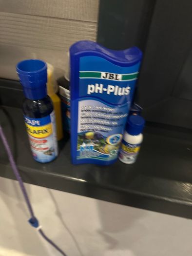 60lt fish tank with loads of extras