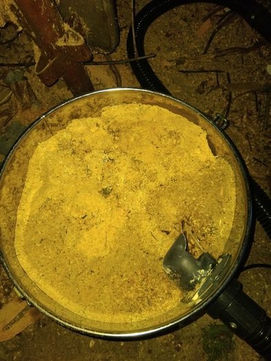 Free sawdust.