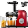 Cold Press Juicer Easy to Clean, Professional Slow Masticating Juice Extractor with Quiet Motor and Reverse Function for Soft/Hard Fruit and Vegetable (FREE POSTAGE) Image 3