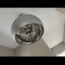 Feature Light Image 4