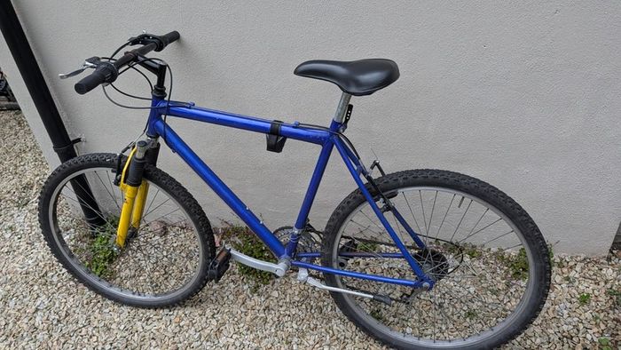 Mountain bike + D-lock
