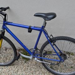 Mountain bike + D-lock
