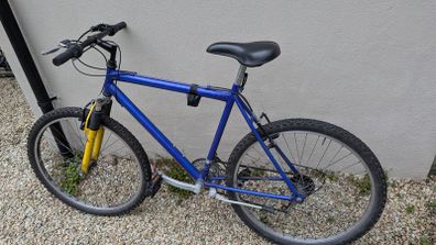 Mountain bike + D-lock
