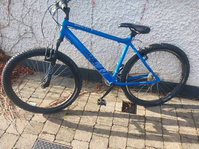 Bicycle