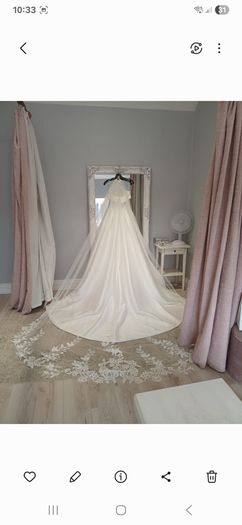 Beautiful cathedral length veil with flower and subtle sparkle detail