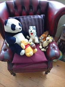 Teddys, soft toys, Teddy Bears.