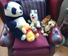 Teddys, soft toys, Teddy Bears.