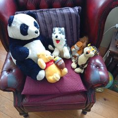 Teddys, soft toys, Teddy Bears.