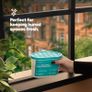 Dehumidifiers Disposable 500ml - 10-Pack Disposable Dehumidifiers for Home - Condensation Absorbers for Windows, Moisture Absorber, Mould Damp Trap, Interior Dehumidifier for Wardrobe, Bathroom Image 8