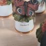 Scotland Direct Butterfly thimble set collection x 15 Sutherland England vintage Image 4