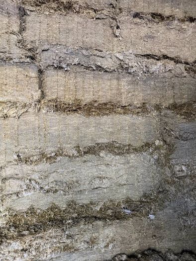 Pit silage