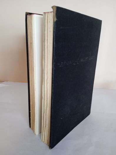 The Decameron of Boccaccio by Giovanni Boccaccio Published by The Bibliophilist Society (GT128)