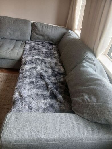 L-Shaped Grey couch
