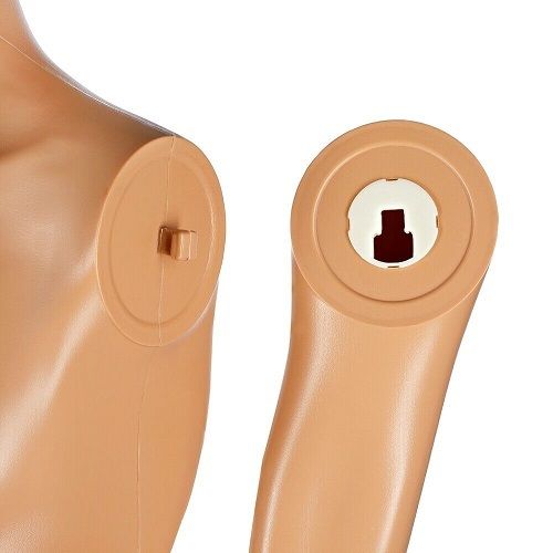 Home or Business male mannequin - FREE Delivery