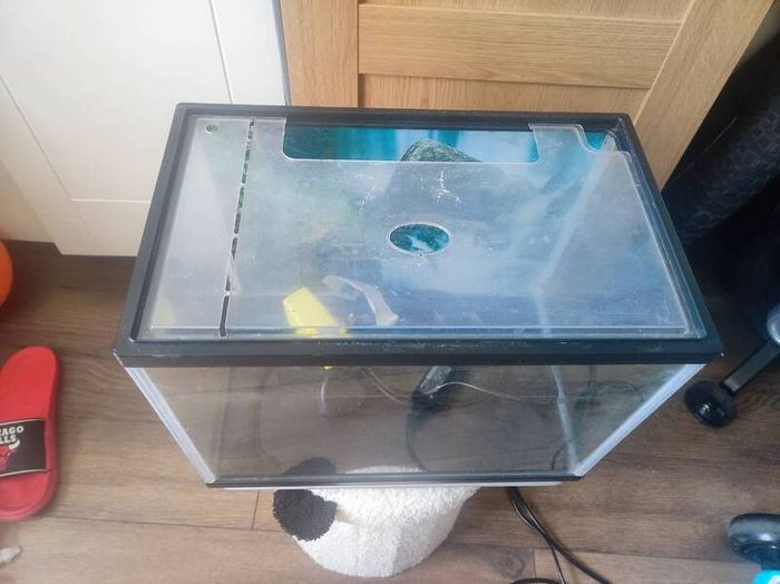Fish tank