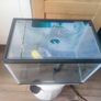 Fish tank Image 3