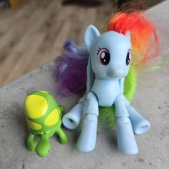 Articulated Joints Rainbow Dash with Pet Turtle Tortoise MLP G4 My Little Pony