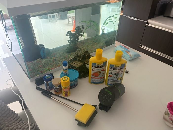 fish tank complete with two filters and everything you need.