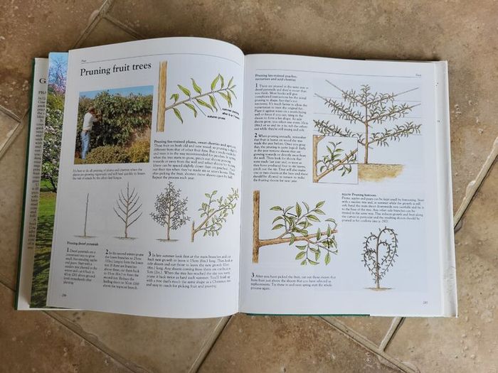 Gardener's World - The Complete Book of Gardening Techniques by Geoff Hamilton.