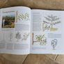 Gardener's World - The Complete Book of Gardening Techniques by Geoff Hamilton. Image 8