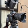 Sony Alpha 7 III + Sigma 24mm F1.4 Image 10