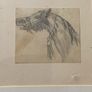 pencil drawing of a horses head Image 2