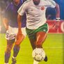 book Back from the Brink Author: Paul McGrath signed  with inscription Image 3