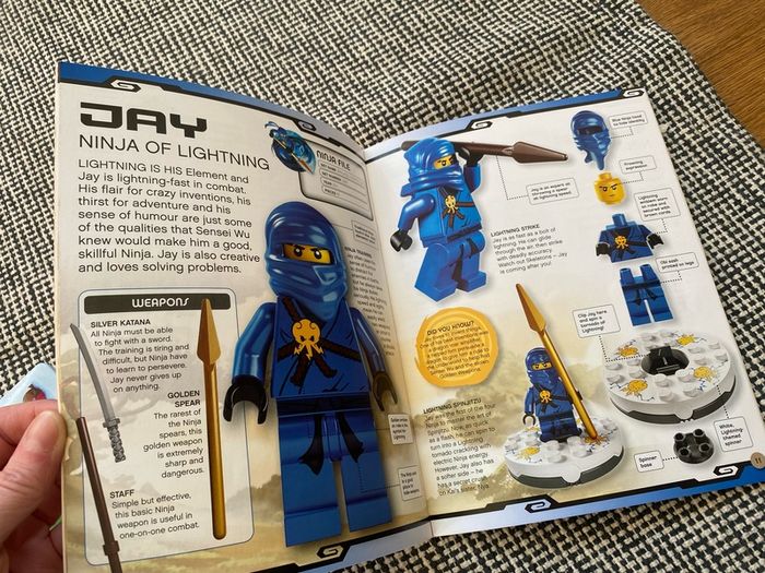 Lego Ninjago Masters of Spinjitzu - Character Guide