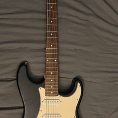 stratocaster single coil pickups electric guitar