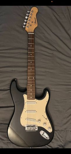 stratocaster single coil pickups electric guitar