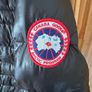 canada goose Image 4