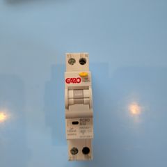 Garo 100ma Rcbo