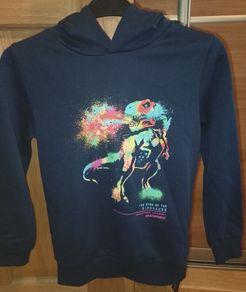 Boys dinosaurs hoodie
