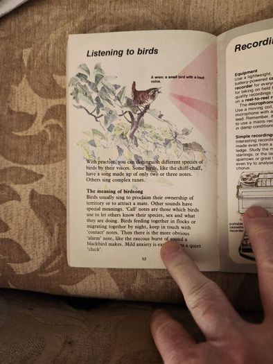 Whizz Kids. Birdwatching First Edition Vintage 1979 Paperback In Good Condition. 36.