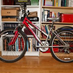 Solano Optima Bike
