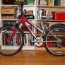 Solano Optima Bike Image 2