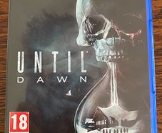 ps4 game: Until Dawn