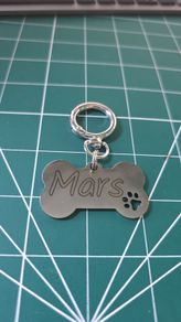 Pet name tags