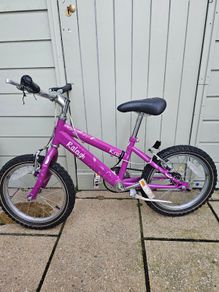 Kids bike raleigh