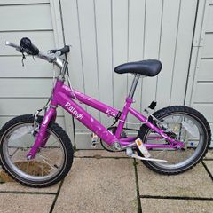 Kids bike raleigh