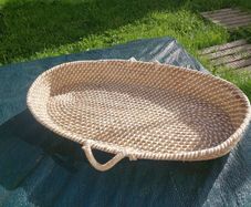 pet basket