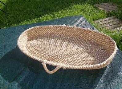 pet basket