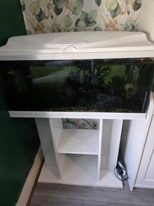 fish tank