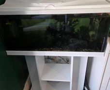 fish tank