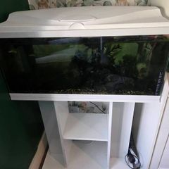 fish tank