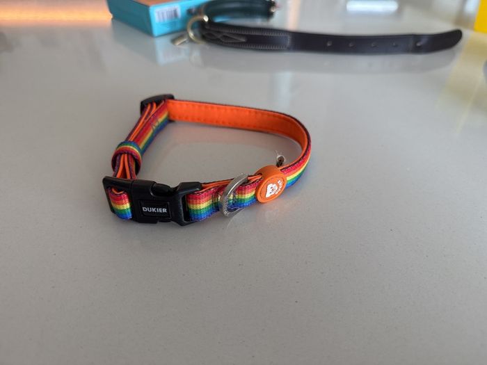 Dukier Rainbow Dog Collar (small)
