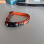 Dukier Rainbow Dog Collar (small) Image 4