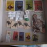The Chronicles of Narnia The Witch The Lion and The Wardrobe Game Image 2