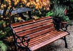 Garden Benches (Multiples Available)